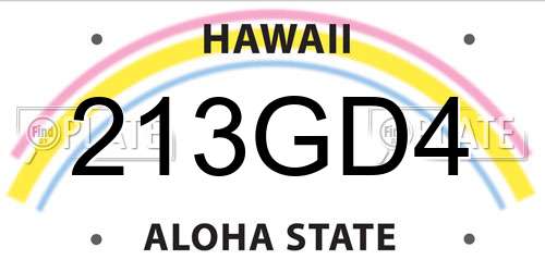 213GD4 Hawaii License Plate
