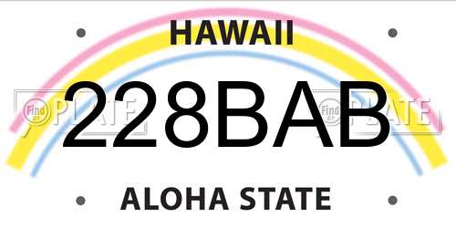 228BAB Hawaii License Plate