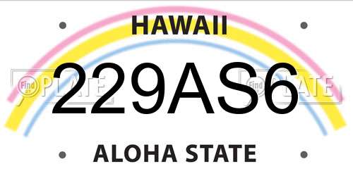 229AS6 Hawaii License Plate