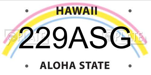 229ASG Hawaii License Plate