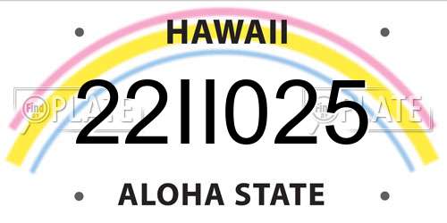 22II025 Hawaii License Plate