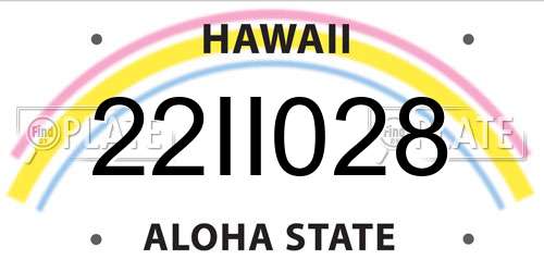 22II028 Hawaii License Plate