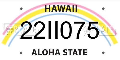 22II075 Hawaii License Plate