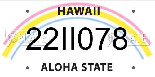 22II078 Hawaii License Plate