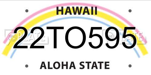 22TO595 Hawaii License Plate
