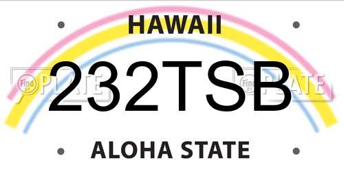 232TSB Hawaii License Plate