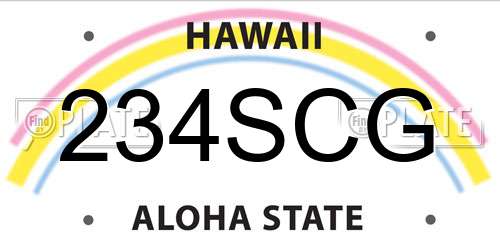 234SCG Hawaii License Plate