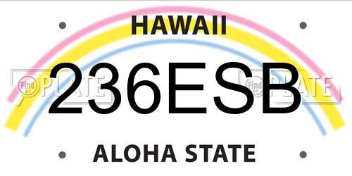 236ESB Hawaii License Plate