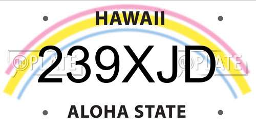 239XJD Hawaii License Plate