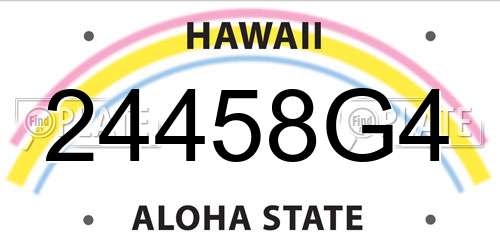 24458G4 Hawaii License Plate