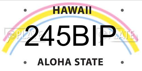 245BIP Hawaii License Plate