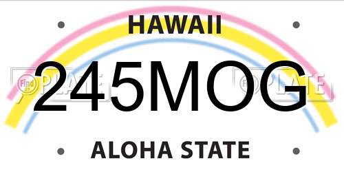 245MOG Hawaii License Plate