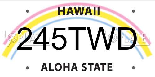 245TWD Hawaii License Plate
