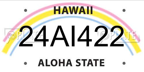 24AI422 Hawaii License Plate