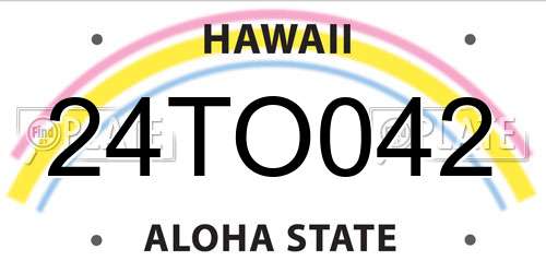 24TO042 Hawaii License Plate