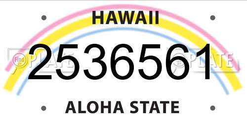 2536561 Hawaii License Plate