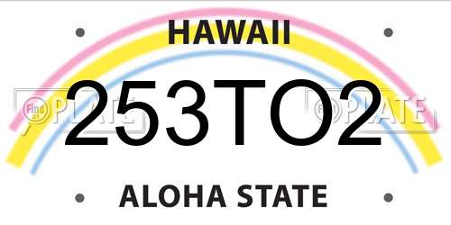 253TO2 Hawaii License Plate