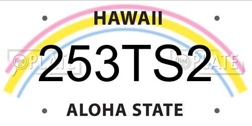 253TS2 Hawaii License Plate