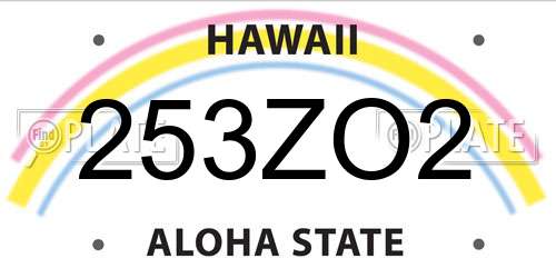 253ZO2 Hawaii License Plate