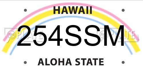 254SSM Hawaii License Plate