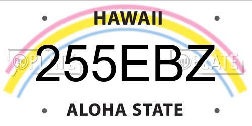 255EBZ Hawaii License Plate