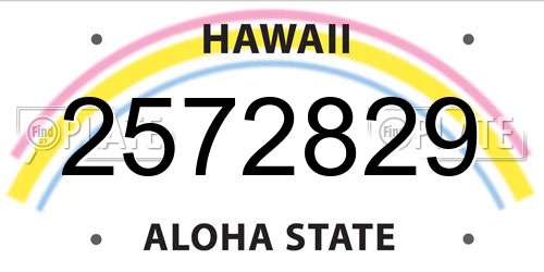 2572829 Hawaii License Plate