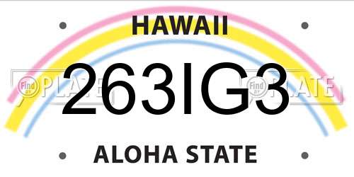 263IG3 Hawaii License Plate