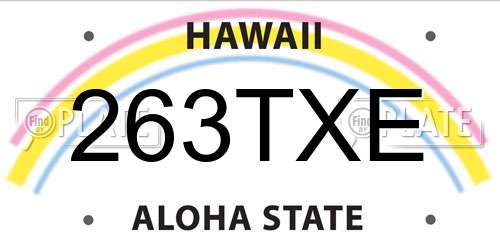 263TXE Hawaii License Plate