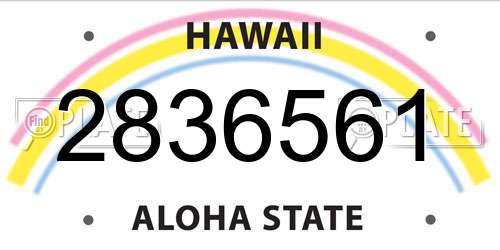 2836561 Hawaii License Plate
