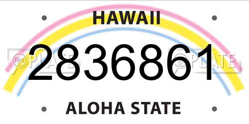 2836861 Hawaii License Plate