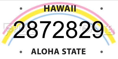 2872829 Hawaii License Plate