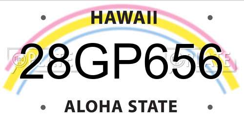 28GP656 Hawaii License Plate