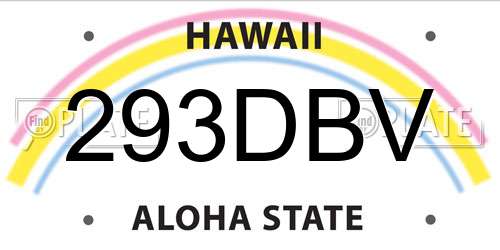 293DBV Hawaii License Plate