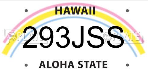 293JSS Hawaii License Plate
