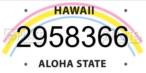 2958366 Hawaii License Plate
