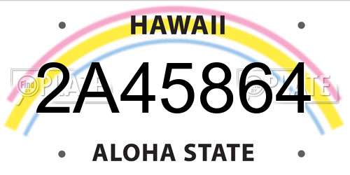 2A45864 Hawaii License Plate