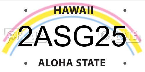 2ASG25 Hawaii License Plate