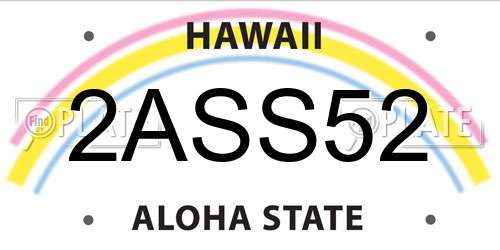 2ASS52 Hawaii License Plate