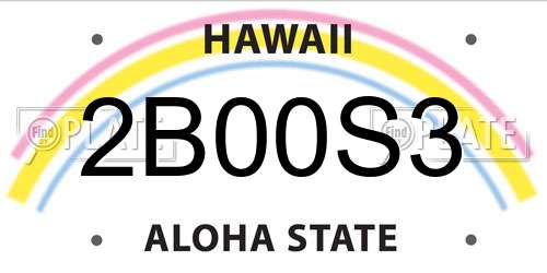 2B00S3 Hawaii License Plate