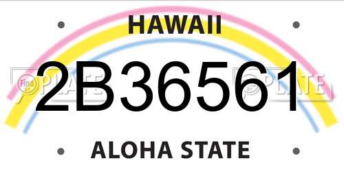 2B36561 Hawaii License Plate