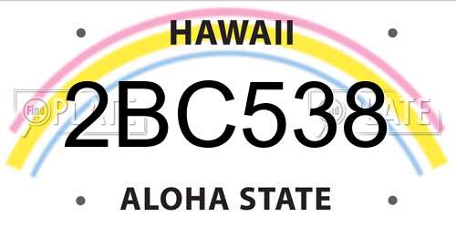 2BC538 Hawaii License Plate