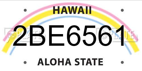2BE6561 Hawaii License Plate