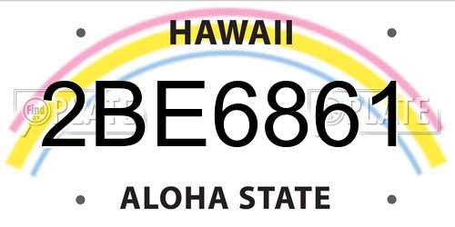 2BE6861 Hawaii License Plate