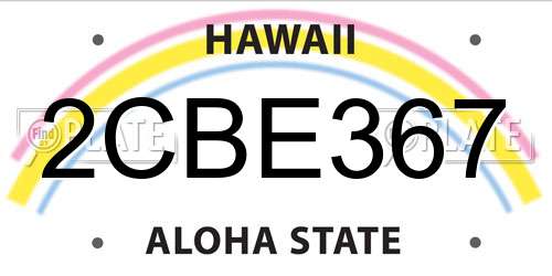 2CBE367 Hawaii License Plate