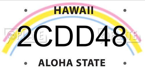 2CDD48 Hawaii License Plate