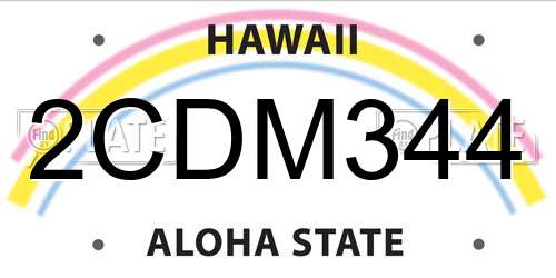 2CDM344 Hawaii License Plate