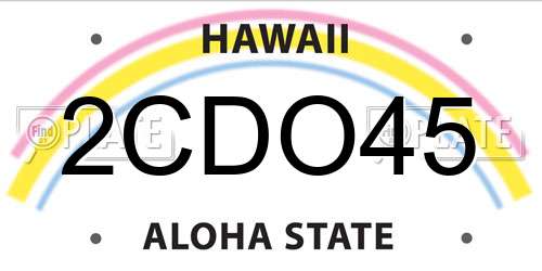 2CDO45 Hawaii License Plate