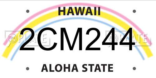2CM244 Hawaii License Plate
