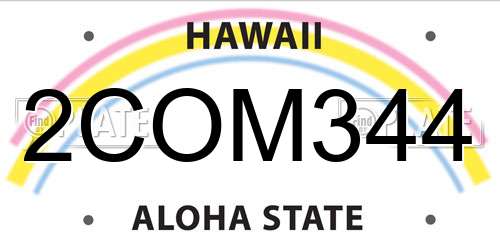 2COM344 Hawaii License Plate