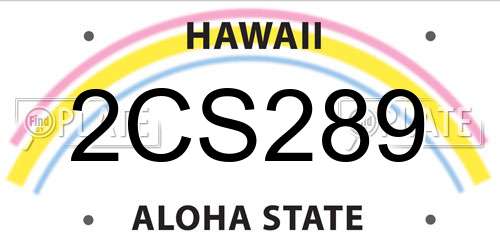 2CS289 Hawaii License Plate